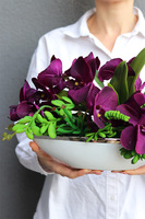 Dekoria Laos Oberżyna, sztuczny storczyk w łódce