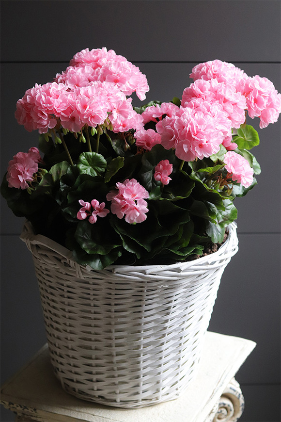 Pink Basket, sztuczne pelargonie w koszu