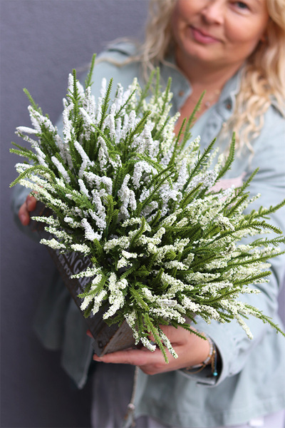 Wrzosowisko Green Garden, wrzosy w skrzynce, białe