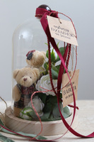 Teddy Red, kompozycja pod szklanym kloszem