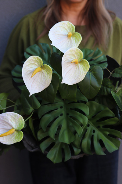 Anturium Volcan White, nowoczesna kompozycja nagrobna