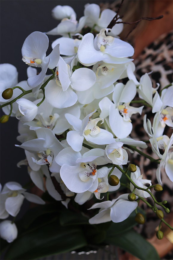 Silver Versal, sztuczny storczyk w lustrzanej donicy