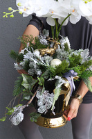 Deluxe Black Winter, elegancki storczyk zimowy w pucharze LED