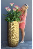 Echemea Queen, kompozycja kwiatowa w metalowej donicy