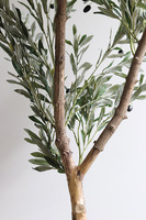 Oliwka Basket, sztuczne drzewko w koszu