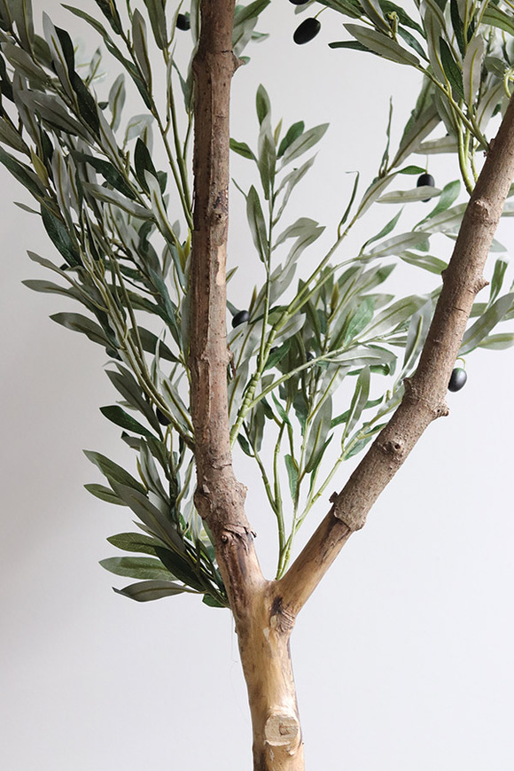 Oliwka Basket, sztuczne drzewko w koszu