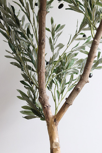 Oliwka Basket, sztuczne drzewko w koszu