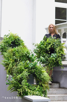 Zielonka, duży sufitowy wianek	