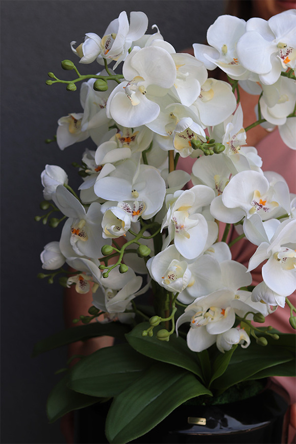 Gaina Black, wysokiej jakości sztuczny storczyk