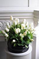 Deluxe Amsterdam, komplet dekoracji nagrobnych