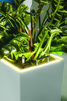 Canto Premium LED, podświetlana doniczka z nawadnianiem, antracyt