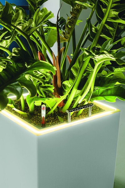 Canto Premium LED, podświetlana doniczka z nawadnianiem, antracyt