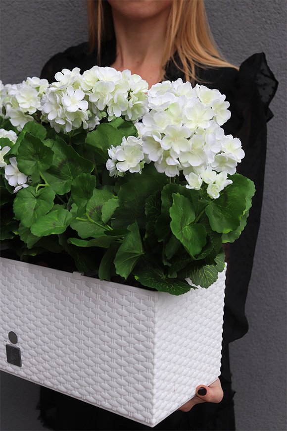 Summer Balcony New, białe pelargonie w skrzynce balkonowej