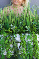 Agneso Greenoso, kompozycja we wkładzie do Twojej donicy