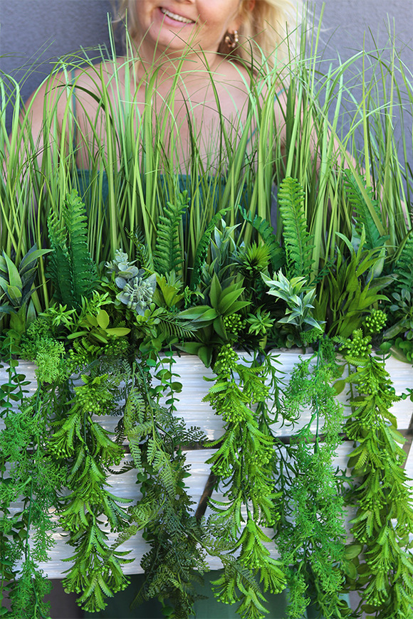 Agneso Greenoso, kompozycja we wkładzie do Twojej donicy