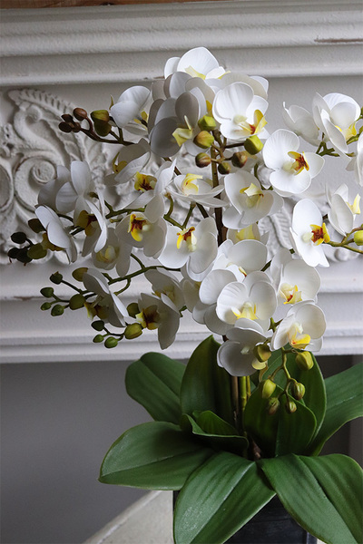 Nemena, gumowy storczyk w donicy vintage