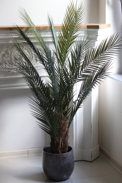 Magellania Earth, sztuczna palma w ozdobnej donicy
