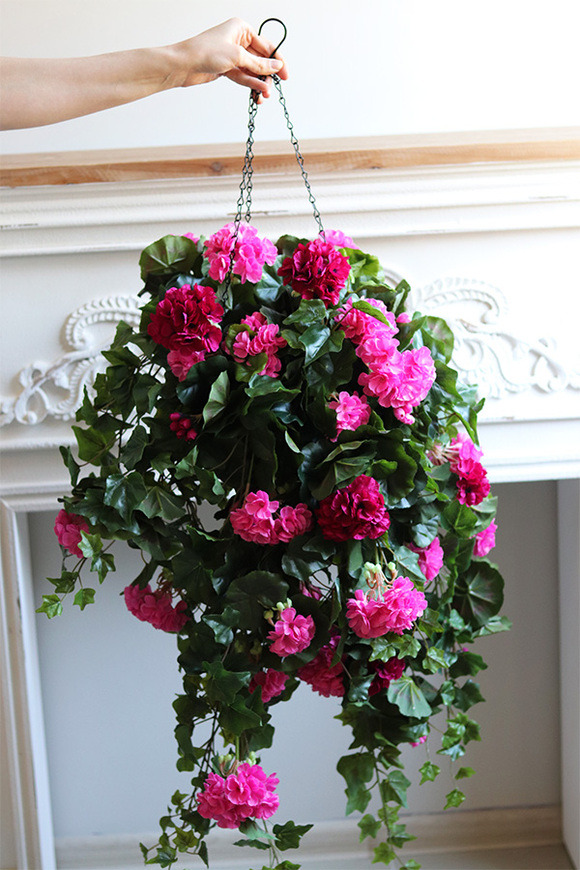 Pelargonia Pink, kwiaty w wiszącej donicy