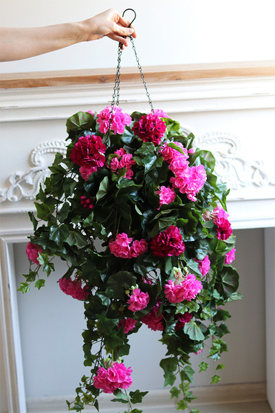 Pelargonia Pink, kwiaty w wiszącej donicy