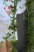 Barwinek, bardzo długa girlanda 5metrowa do dekoracji,