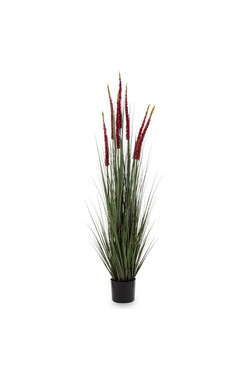 Nadmorska Red A, sztuczna trawa kwitnąca, wys.150cm