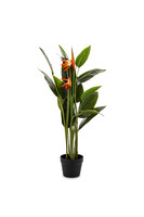 Strelicja, sztuczna roślina w donicy, wym.86x45x35cm