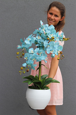 Turkusina Selenia, sztuczny storczyk w białej donicy, wys.65cm