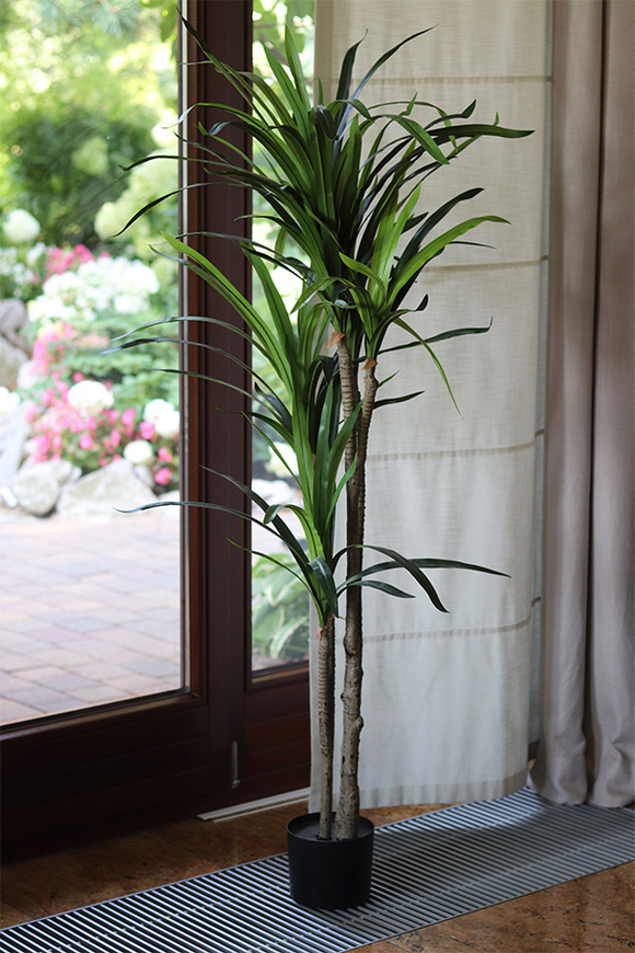 Dracena, wysokiej jakości sztuczna roślina