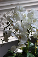 Cremisana Leas, sztuczny storczyk w białej donicy