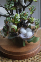 Meria, kompozycja kwiatowa pod kloszem