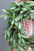 Eucalipti, zielony wianek na drzwi