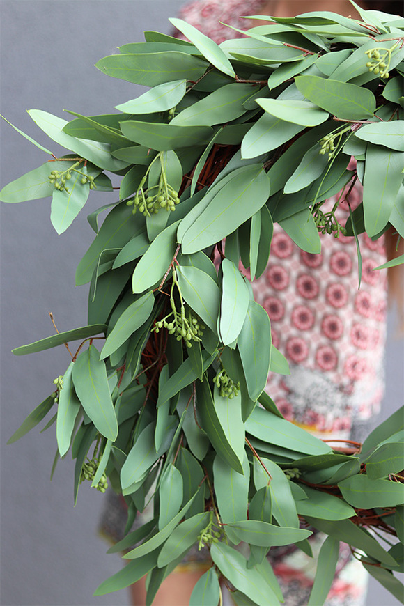 Eucalipti, zielony wianek na drzwi