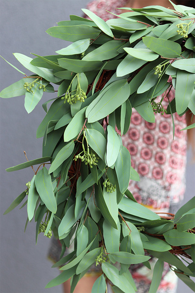 Eucalipti, zielony wianek na drzwi