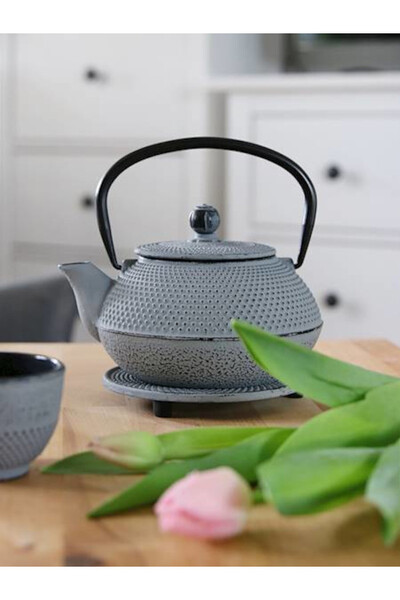 Awaji, żeliwny zestaw do herbaty, szary