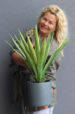 George, sztuczna roślina w doniczce, wys.62cm