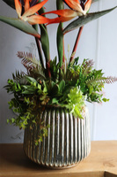 Strelicja Hilton Exotic Red, kompozycja w srebrnej donicy