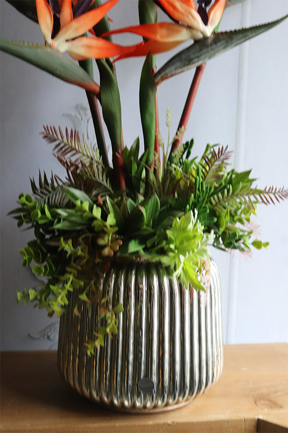 Strelicja Hilton Exotic Red, kompozycja w srebrnej donicy