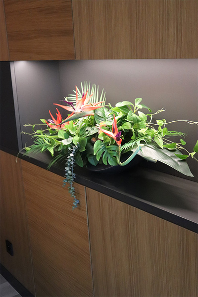 Strelicja Moko Jungle, dekoracja kwiatowa do wnęki