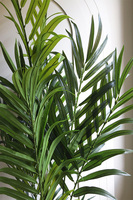 Palma Brasileiro, sztuczna roślina w doniczce