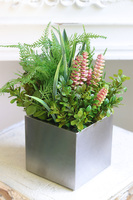 Sukulenty Steel Modern C, zielona dekoracja w stalowej donicy