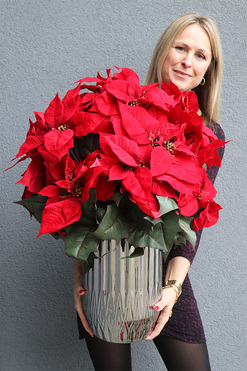 Gwiazda Betlejemska Silverro, wysokiej jakości sztuczna roślina, wys.78cm