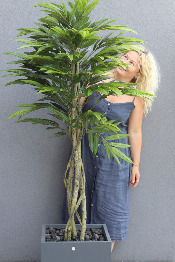 Mangowiec Concrete, sztuczna roślina w donicy