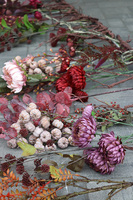 Słodki Słony, wysokiej jakości nowoczesna girlanda jesienna, dł.250m