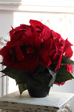 Gwiazda Betlejemska Czerń 3, wysokiej jakości sztuczna roślina, wys.49cm 