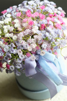 Kaszka Blue, flowerbox kwiatowy welurowy, gipsówka