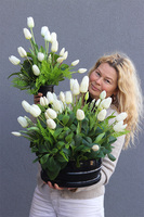 Deluxe Amsterdam, bukiet nagrobny we wkładzie do wazonu