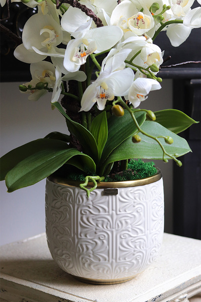 Kerena, biały sztuczny storczyk