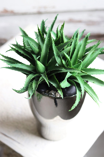 Gerda Aloes, sukulenty w srebrnej donicy, wym.27x24cm