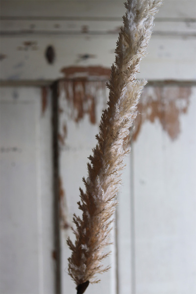 Boho Canadian, sztuczna trawa z piuropuszem, beżowa, wys.110cm