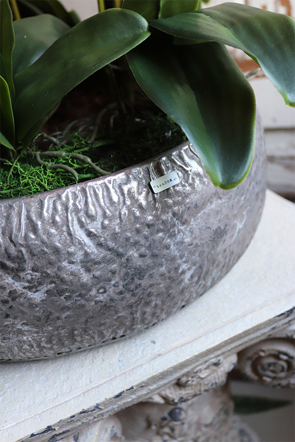 Koralovy, różowy storczyk w metalowej misie, wys.68cm